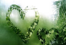 摩纳哥全力备战出战昂热的比赛