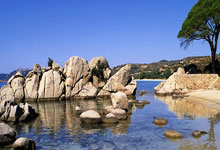 保加利亚队逆袭成功，出线赢得晋级名额