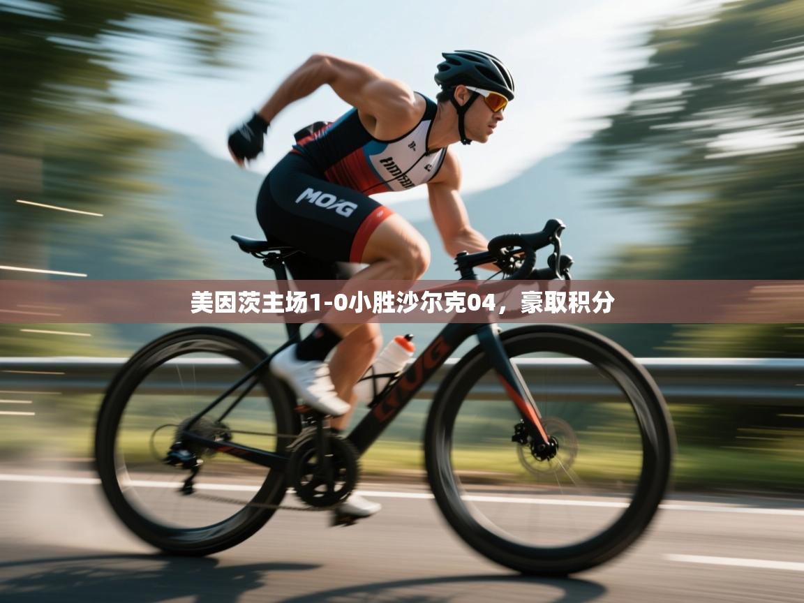 美因茨主场1-0小胜沙尔克04，豪取积分  第2张