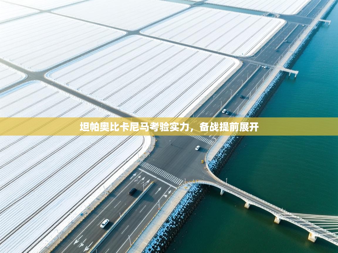 坦帕奥比卡尼马考验实力，备战提前展开  第2张